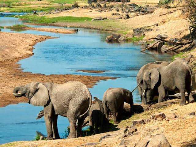 Saadani National Park